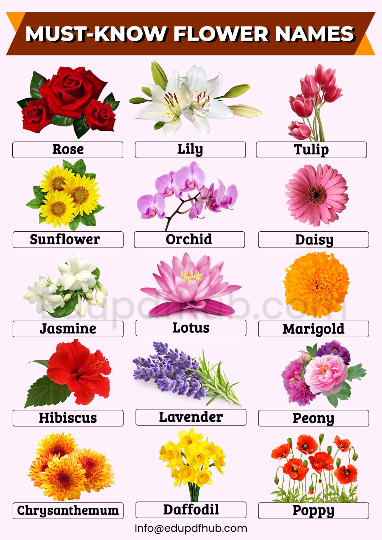 Must-Know Flower Names
